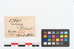 Etikett zu Bronzegürtelhaken (NHMW-PRAE-025695)